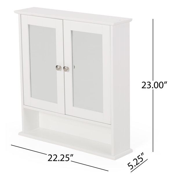 Winston Porter Anjanique Surface Mount Framed 2 Door Medicine